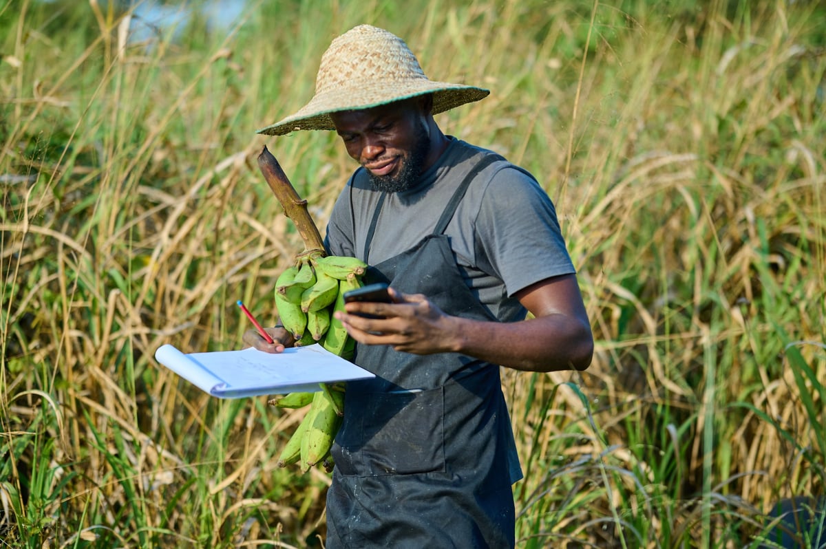 A farmer standing in a field holding freshly harvested plantains